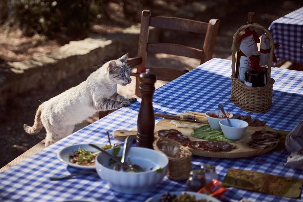 Coming Full Circle: Transform Your Life with Mindful Eating