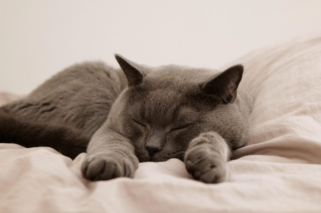 Sleep Right
